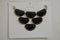 Nordstrom Joe Fresh Women's Black Chunky Gem Stones Gold Chain Necklace Jewelry - evorr.com