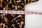 Thalia Sodi Womens Open-Front Brown Animal Print Chiffon Trim Bolero Shrug Top L