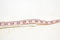 Lee Women's Stretch White Mid-Rise Striped Belted Skimmer Capri Denim Jeans 10 M - evorr.com