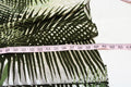 $99 Sangria Women's Halter Green Leaf Printed Elastic Waist Maxi Dress Plus 14W - evorr.com