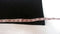 New Style & Co. Women's Bootleg Black Jeans Denim Plus 16W - evorr.com