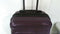 $249 Delsey Meteor 21" Hard Spinner Carry On Suitcase Luggage Expandable Purple