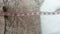 Karen Scott Women Long Sleeve Marl Front Open Ruffle Cardigan Sweater Plus 2X