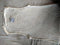 New Free People Womens Sleeveless White Pointelle Knit Body Suit Size L - evorr.com