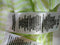 Tommy Hilfiger Sport Women White Green Striped Short Sleeve Color Block Top L - evorr.com