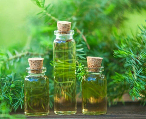 Way Of Will 4-Piece Essential Oils Gift Set Detox Unwind Elevate Stimulate New