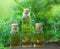 Way Of Will 4-Piece Essential Oils Gift Set Detox Unwind Elevate Stimulate New