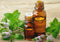 Way Of Will 4-Piece Essential Oils Gift Set Detox Unwind Elevate Stimulate New