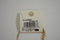 Nordstrom Joe Fresh Womens Gold Chain Shiny Peach Beads Necklace Fashion Jewelry - evorr.com