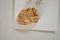Nordstrom Joe Fresh Women's 3-Pairs Gold Stud Earrings 5-Finger Ring Set Jewelry - evorr.com