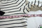 Charter Club Women's Long Sleeve Cotton White Embellish Dog Striped Blouse Top L