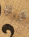 Oval Shaped Stone Studded Earrings - evorr.com