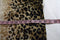 Alfred Dunner Women's Cotton Beige Metallic Animal Necklace Print Sweater Top L - evorr.com