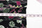New Style&Co Women Black Floral Print Keyhole Lace Trim Tunic Blouse Top Plus 1X - evorr.com