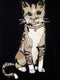 Karen Scott Women's Scoop Neck Black Cat Graphic Sweater 3/4 Sleeve Pullover XL