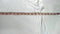 NEW NY Collection Women White Short Sleeve Strap Neck Stretch Blouse Top Plus 2X