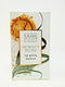 Laura Geller The Beauty Recipes eye Opening Essentials 4 pc Set/Kit NIB mascara - evorr.com