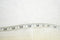ECI Women's Stretch White Pull-On Straight-Leg Dress Pants M