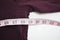 New Style&Co Women Crew Neck Long Sleeve Stretch Purple Solid Tunic Blouse Top L